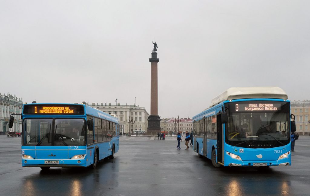 автобусы спб: общественный транспорт стал ли лучше?